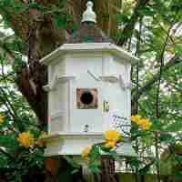 Gothic Nest Box