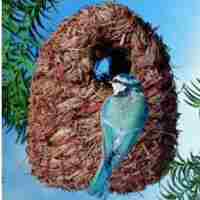 Oval Roosting Nest Pocket