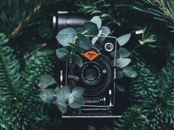 Where to recycle an old or antique camera