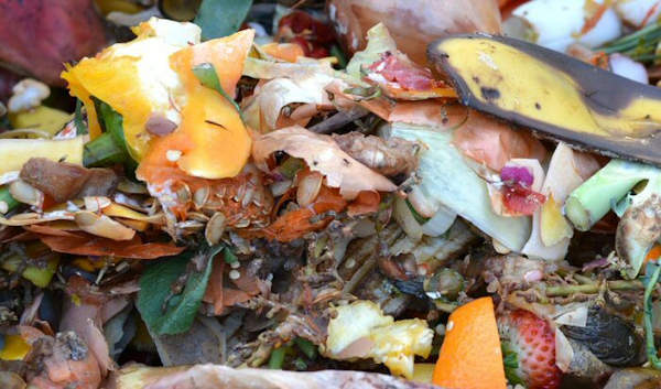 You can compost all food waste using a Bokashi Bin Composting System