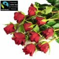 Fairtrade Roses