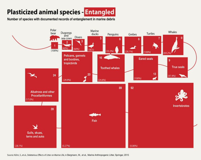 Numbers Of Animal Species Which Have Been Entangled in Marine Debris - 10 Shocking Infographics About Plastic Waste In The Oceans